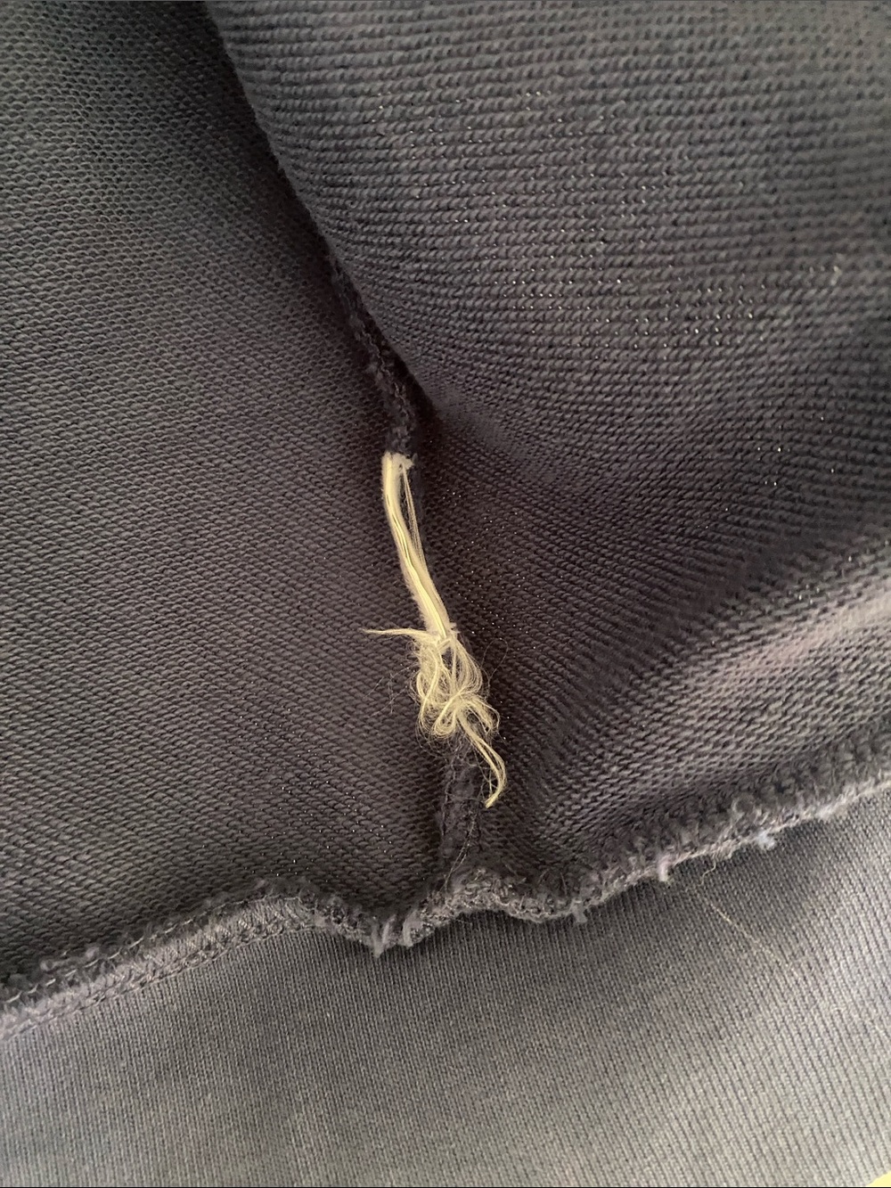 Polo Pastel Logo French Terry Zip Hoodie - Picture 9 of 12